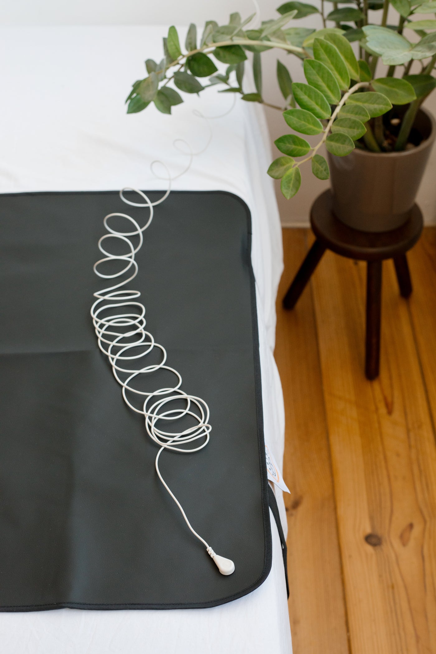 Earthle Earthing Stekker + Kabel